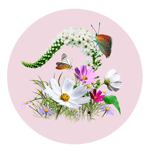 Helena Hetaira Independent Escort Cologne / Köln Frankfurt Düsseldorf